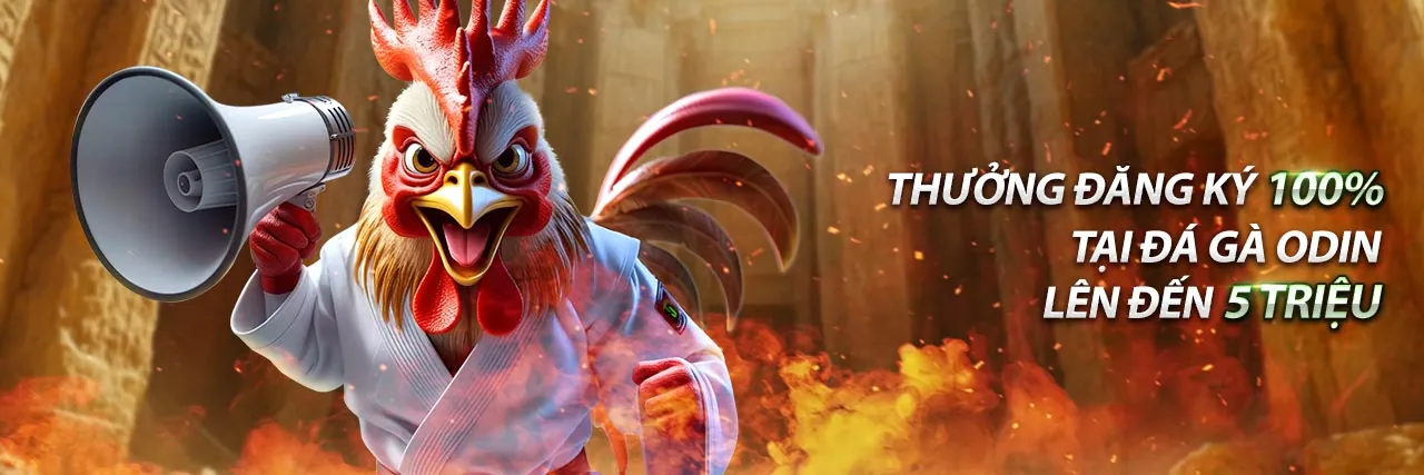 Tổng quan các chương trình khuyến mãi win365